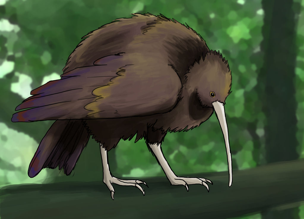 How the Kiwi Lost His Wings