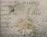 Passing of Time by sandpiperw