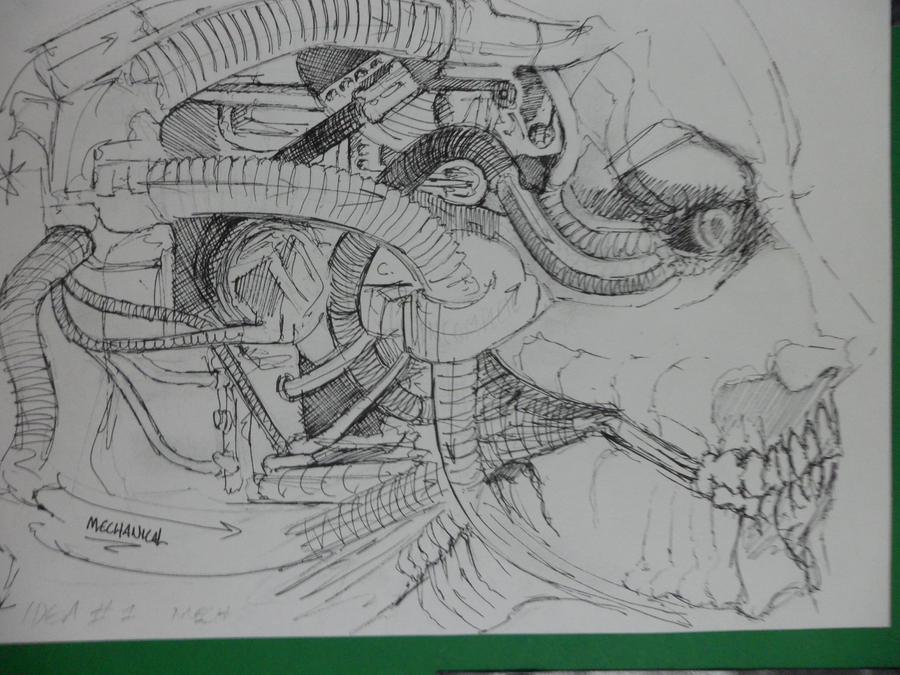 Another mechanical head sketch by The-Perfectionist-99 on DeviantArt