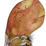 Tupandactylus imperator