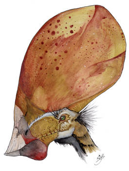 Tupandactylus imperator