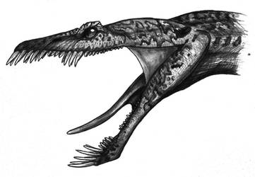 Nothosaurus by SebasRuna