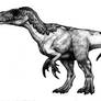 Megaraptor namunhaiquii