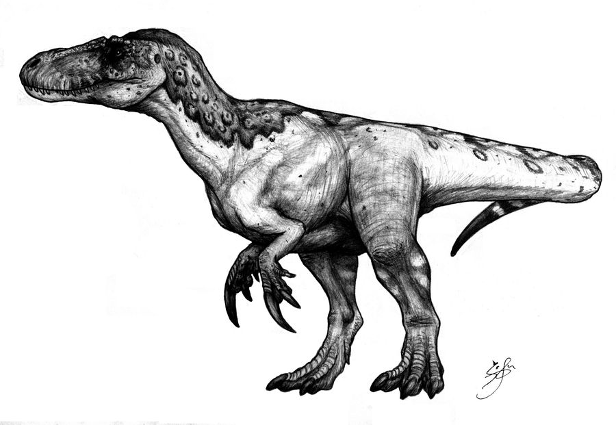 Megaraptor namunhaiquii