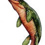 Dakosaurus andiniensis
