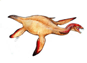 Tuarangisaurus cabazai