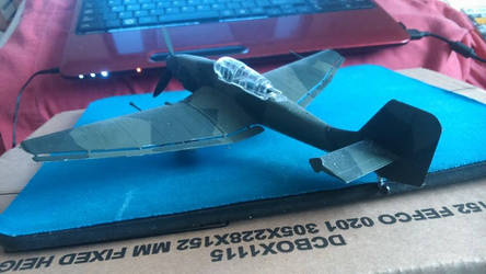 Stuka Rear perspective