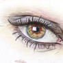 Eye study