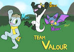 Who Dis - Team Valour