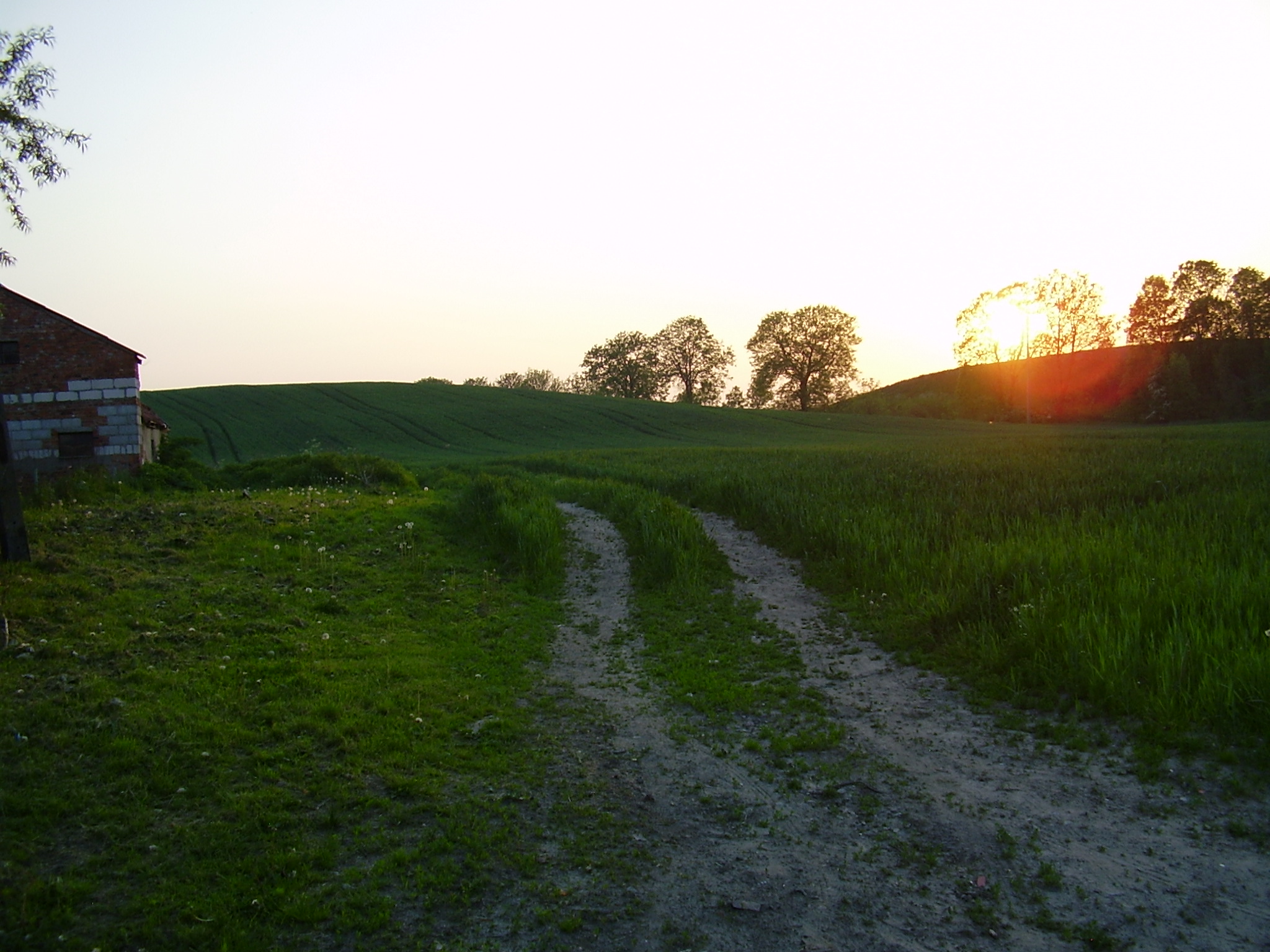 Country Road