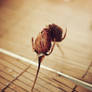 Dried rose