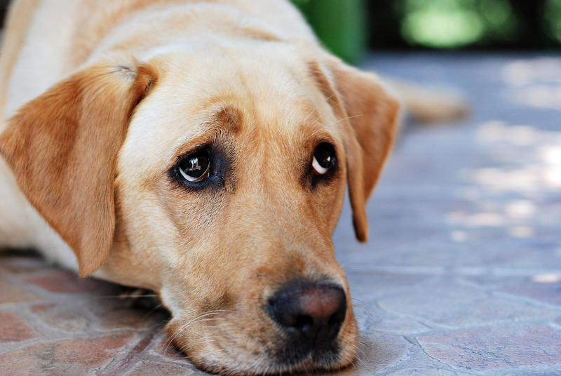 I love the way You love ME by BlueColoursOfNature I love the way You love ME by BlueColoursOfNature