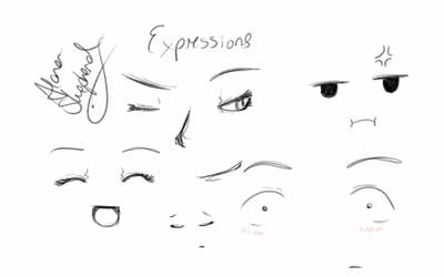 Expression Training