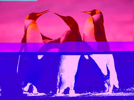 Bisexual Penguins