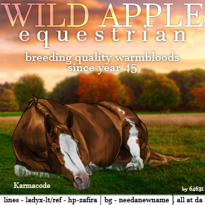 Wild Apple Equestrian Avatar