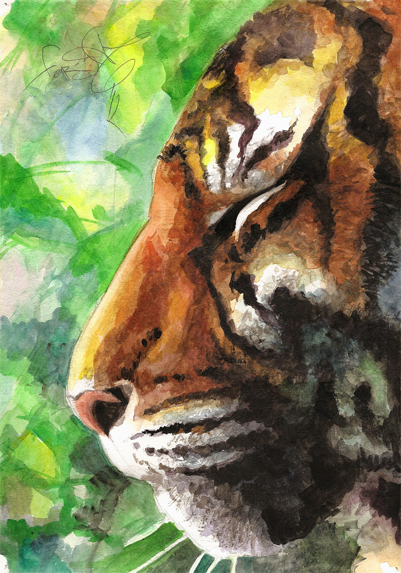 Watercolor 006 Tiger