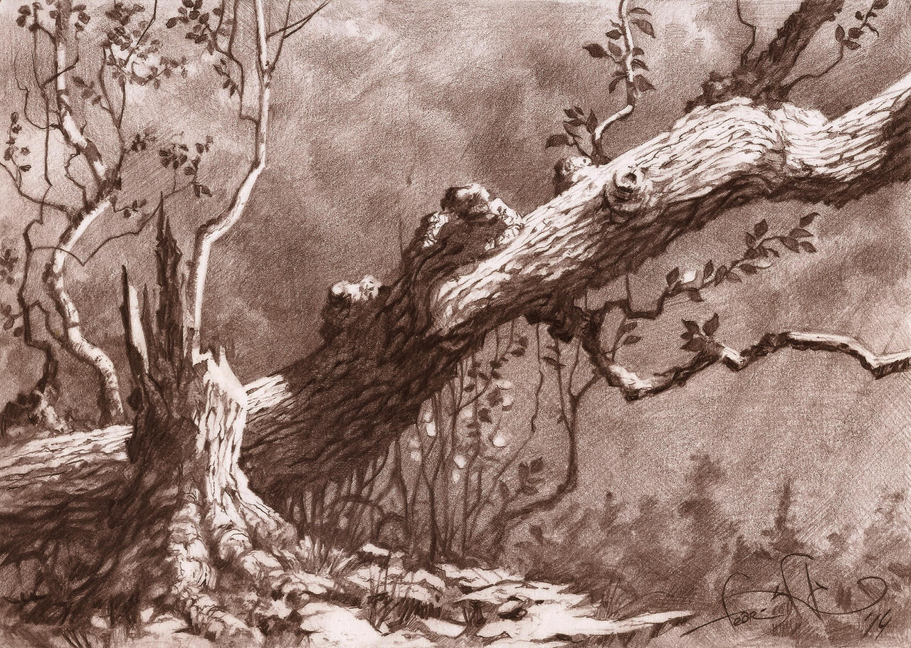 Pencil Sketch By Fear sAs On DeviantArt pencil-sketch-by-fear-sas-on-deviantart