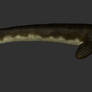 Mosasaur