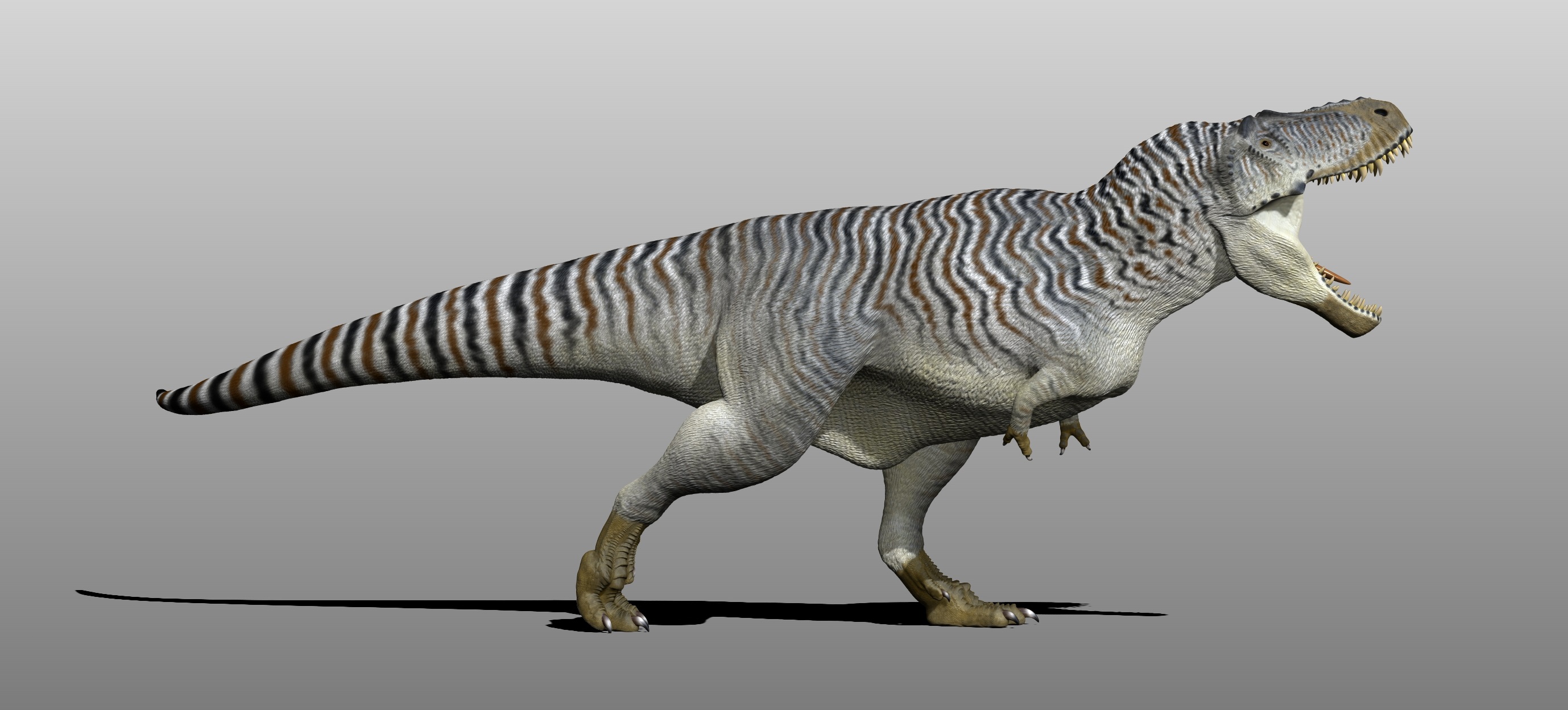 Tyrannosaurus feathers by Manuelsaurus on DeviantArt