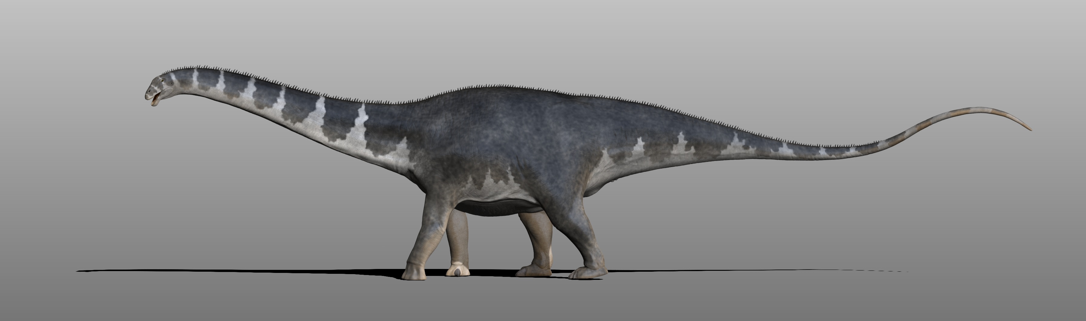 Apatosaurus by Manuelsaurus on DeviantArt