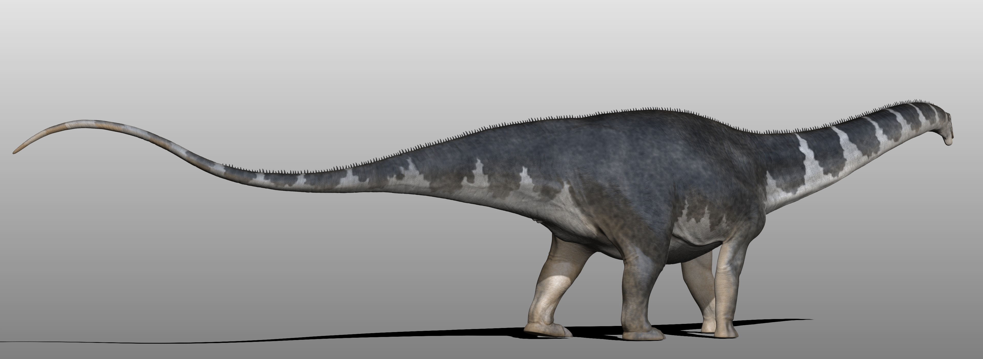 Apatosaurus 2 by Manuelsaurus on DeviantArt