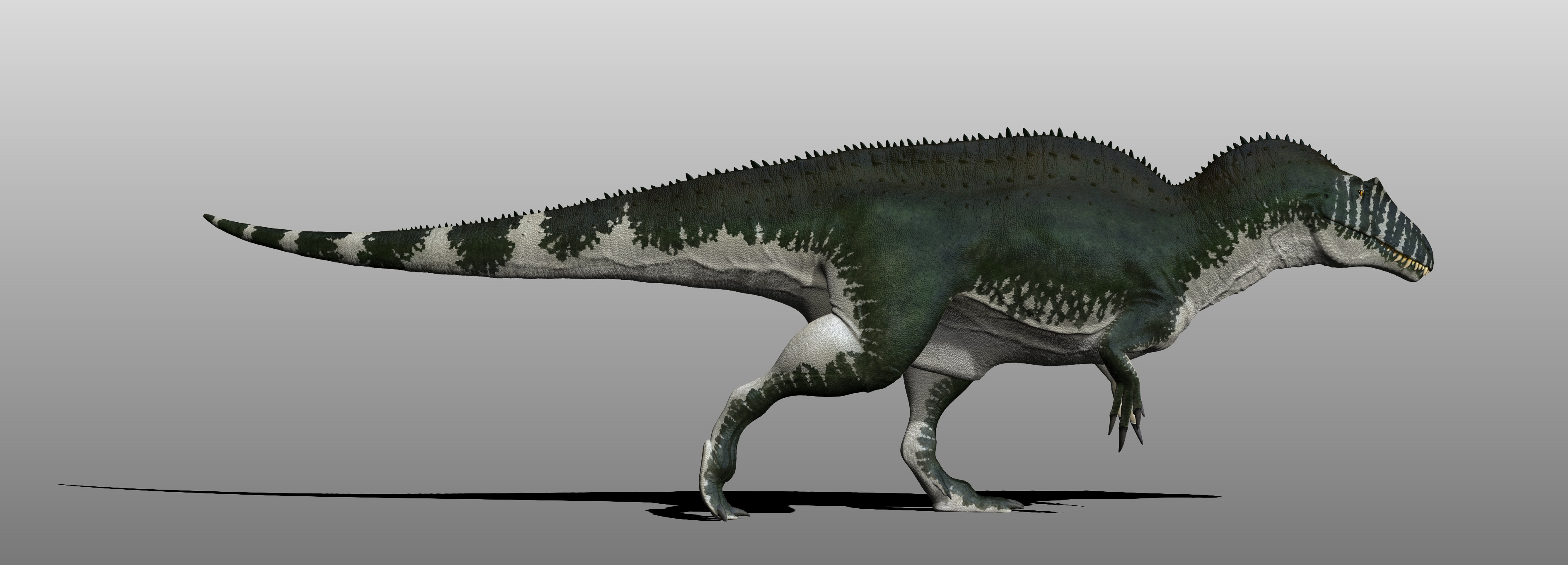 Acrocanthosaurus by Manuelsaurus on DeviantArt