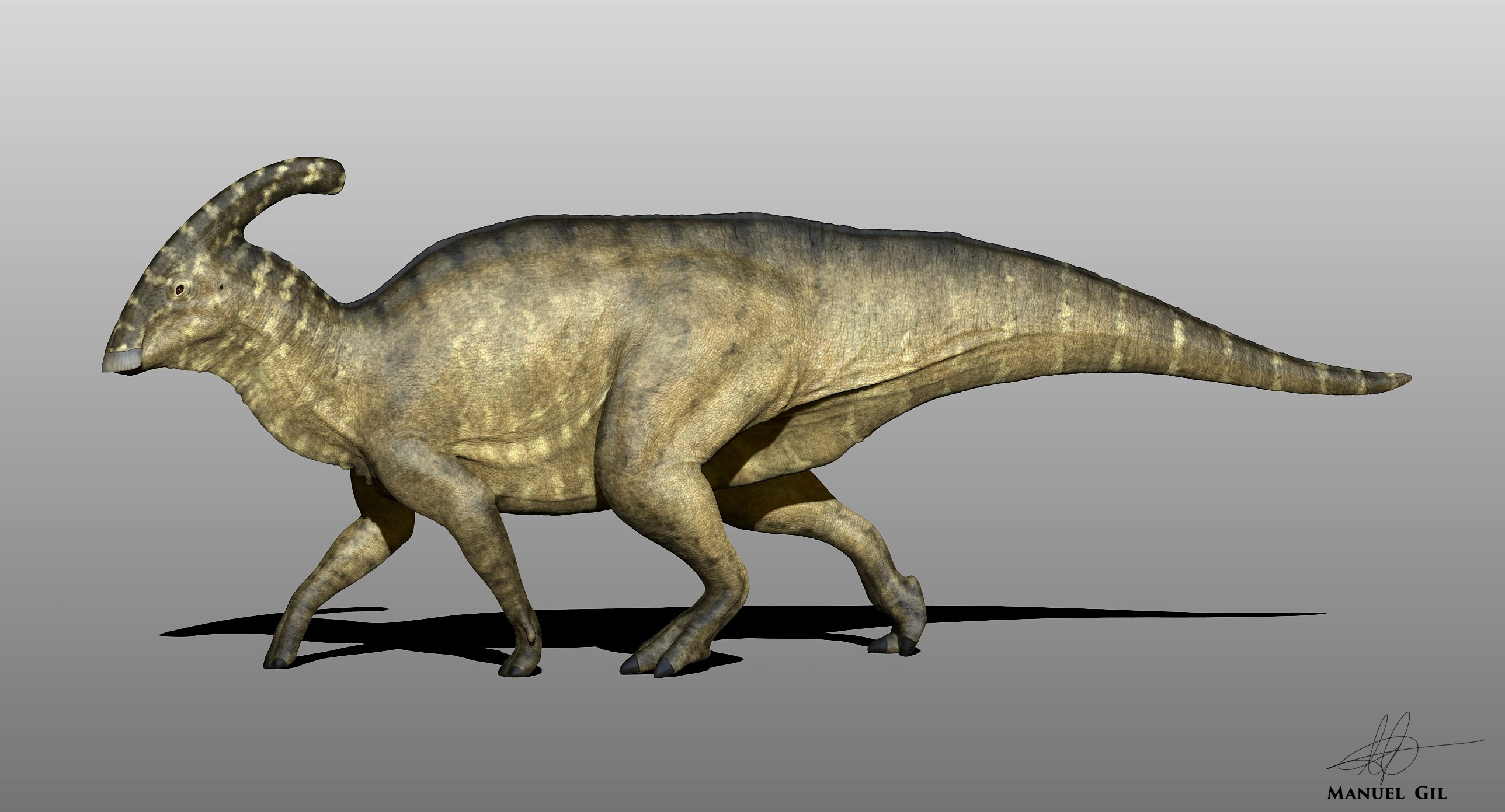 Parasaurolophus