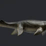 Kronosaurus