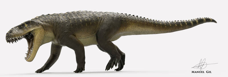 Prestosuchus