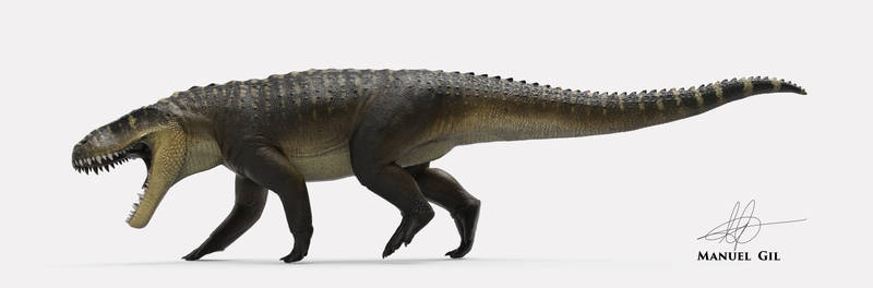 Prestosuchus