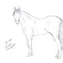 Lineart Stock Equine 4