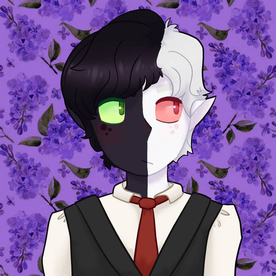 Character Ranboo by EveArtimations on DeviantArt