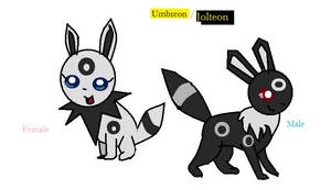 Umbreon-Jolteon Mix