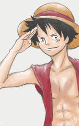 One Piece: Captain Luffy