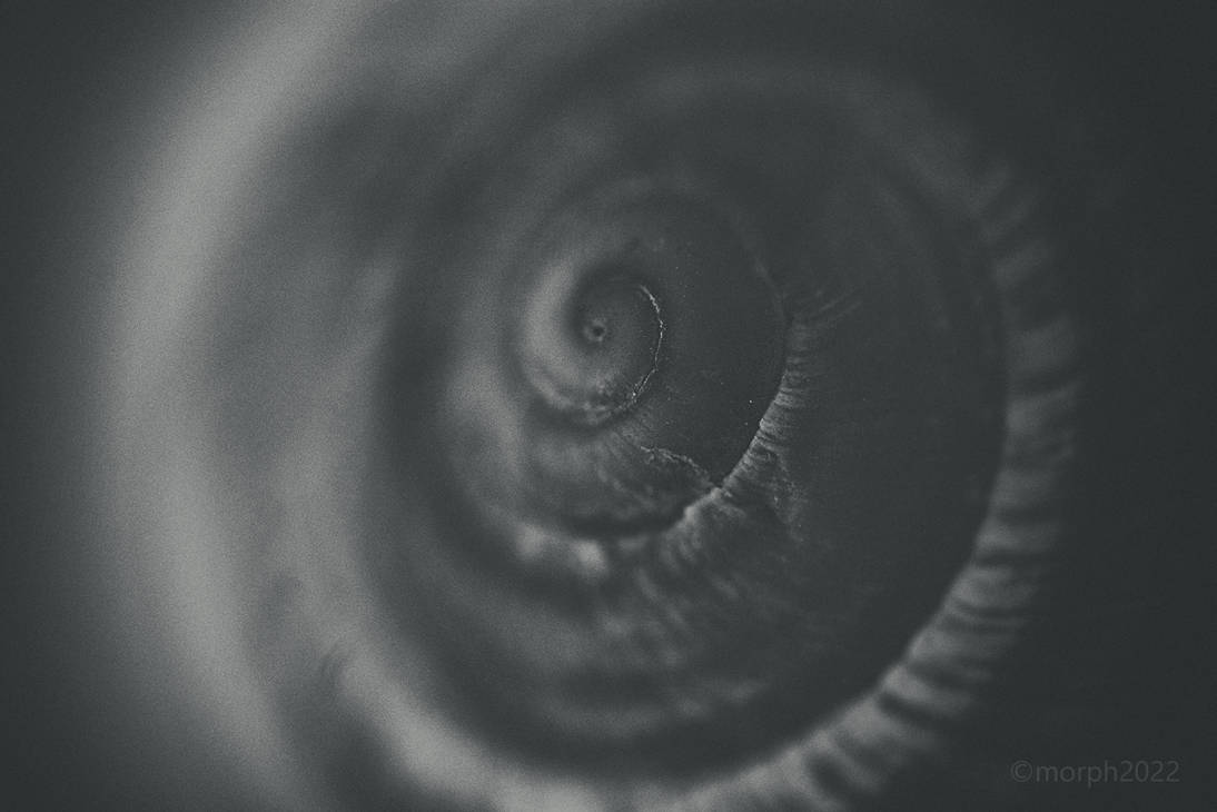 Shell 2 by RaresMorph on DeviantArt