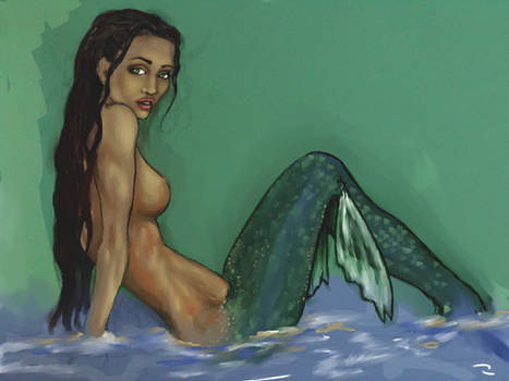Mermaid WIP