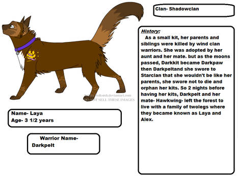 warrior cats oc #1