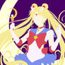 Sailor Moon Poster Ver.