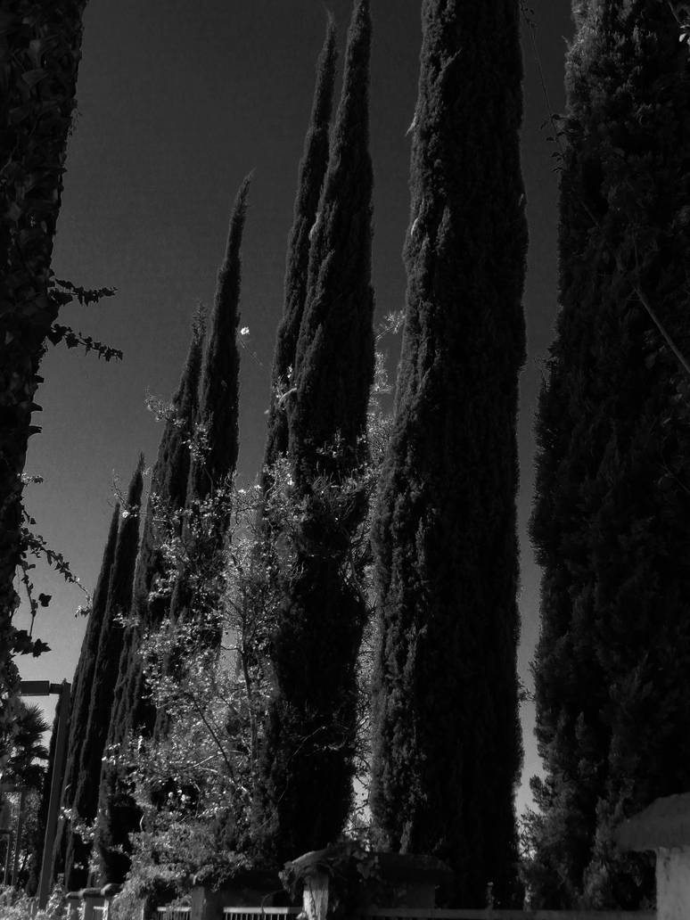 Pointy Trees by alextheartist01 on DeviantArt