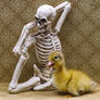Duckie and Yoga Skelley