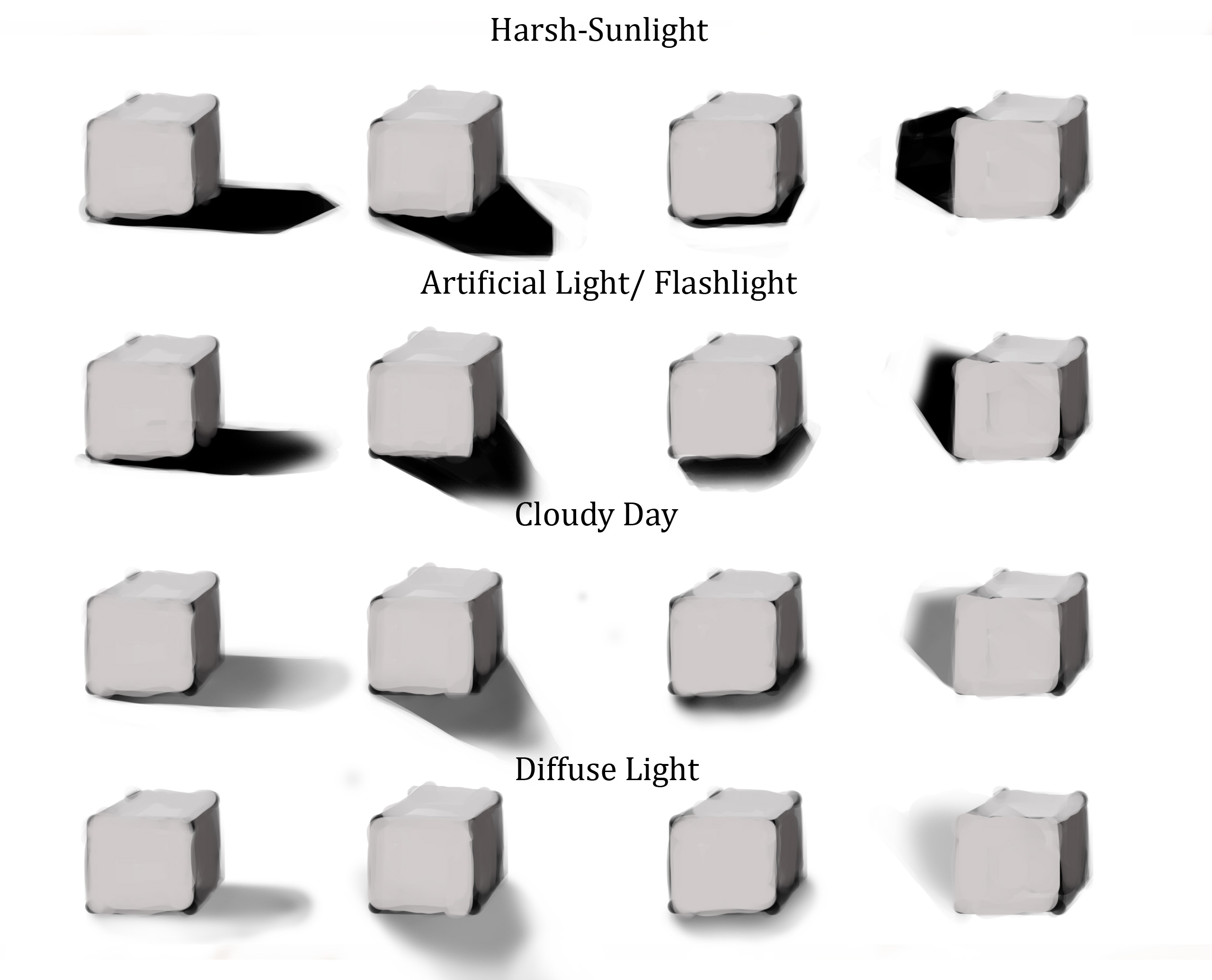 Shadow Study