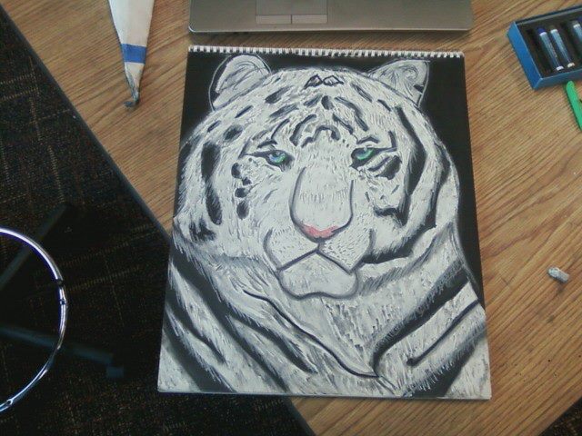 White Tiger