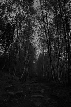 Dark path