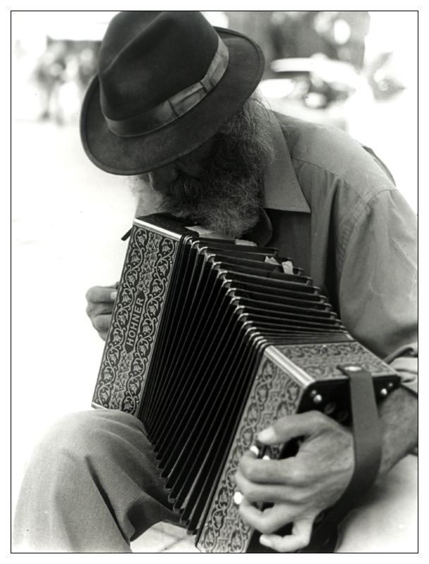 The Accordian Man