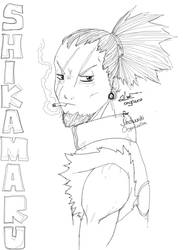 older battle-tested shikamaru