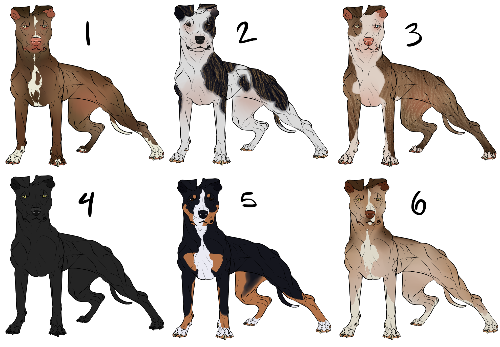 Brindle online american pit