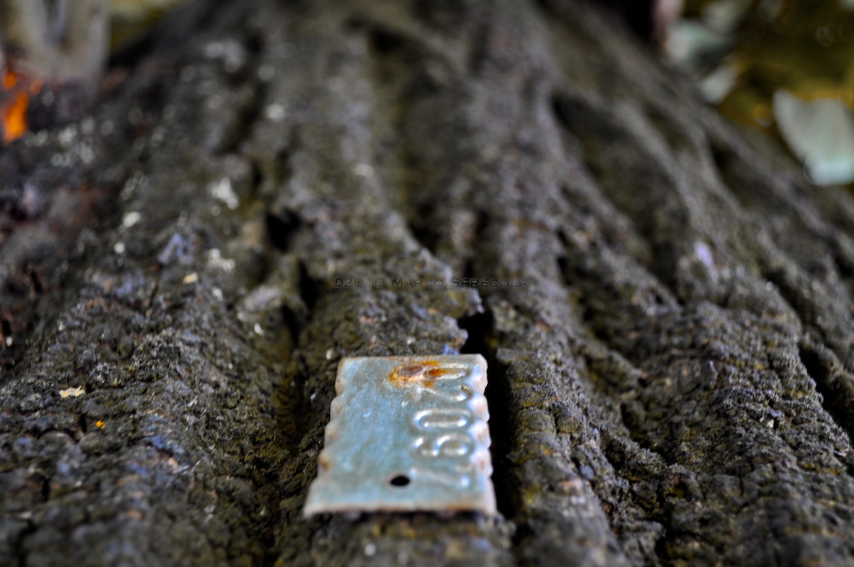 From Serial Tree Serial tree by LordRimoah on DeviantArt