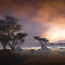 BackgroundAfrica-15