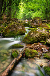 River in Baden Wuerttemberg -2