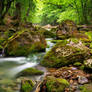 River in Baden Wuerttemberg -2